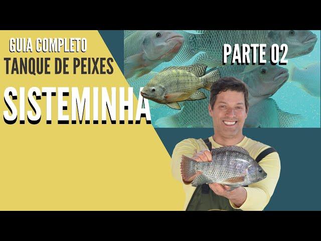 Tanque de Peixes Sisteminha - Guia Completo - Parte 02