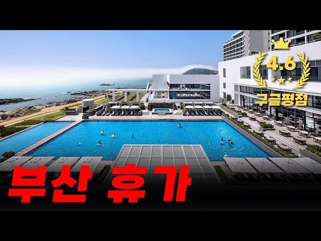 2억 회원권 리조트 직접 가봤습니다. 부산 아난티 코브 펜트하우스 리뷰  부산 아난티 코브 [부산 숙소 #3 리조트]