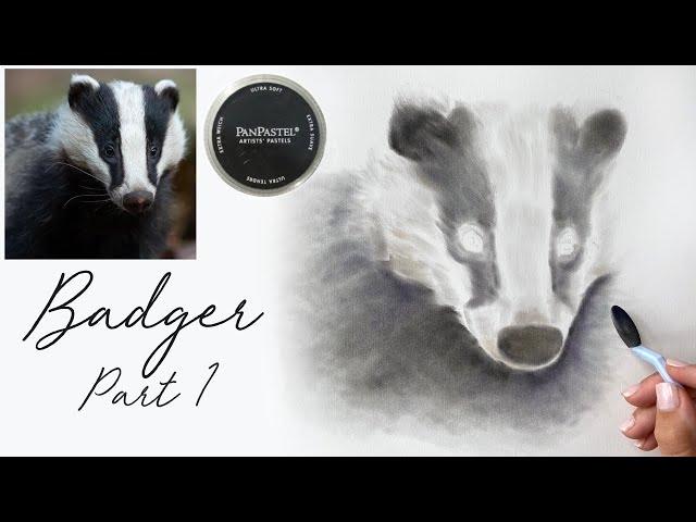 Part 1 - How to Draw a Realistic Badger with Coloured Pencils & Pan Pastels on Drafting Film