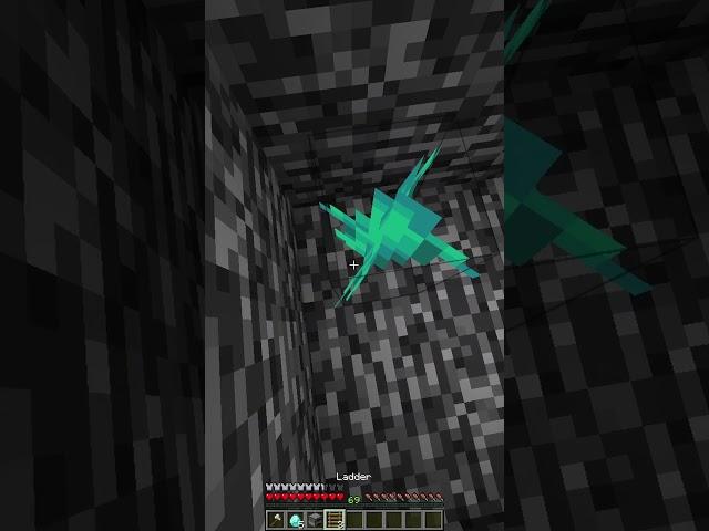 Minecraft I Got So Lucky  (World's Smallest Violin) #shorts