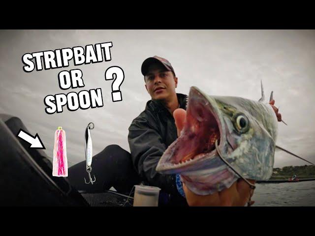 When lures don't work - STRIPBAIT or SPOON? // Kayak Fishing  SOUTH AFRICA // PART 1