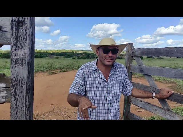 repórter matuto chegando na fazenda saco de Mirandiba onde nasceu doutor Assis de Antônio malfada.