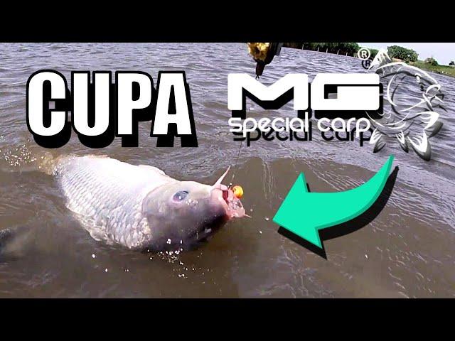 Strategy at Fishing Contest MG CARP Cup on Lake Marcelino