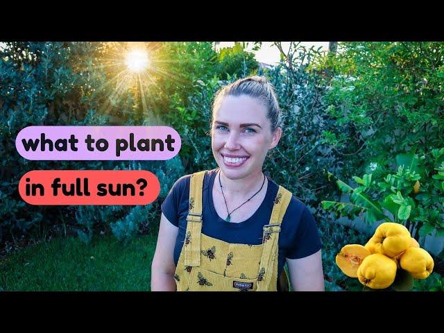 22 HEAT tolerant EDIBLE PLANTS for full sun ️ EASY to grow food!