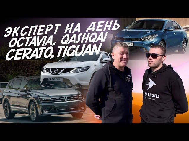 НАЙТИ ЗА ДЕНЬ! SKODA OCTAVIA, NISSAN QASHQAI, KIA CERATO, VW TIGUAN! АВТОПОДБОР AUTOFACT!