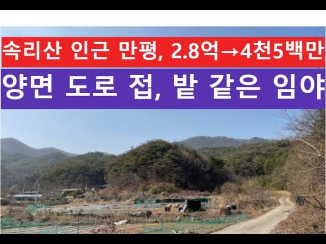 속리산 인근 만평, 2.8억→4천5백만 (양면 도로 접, 밭 같은 임야)