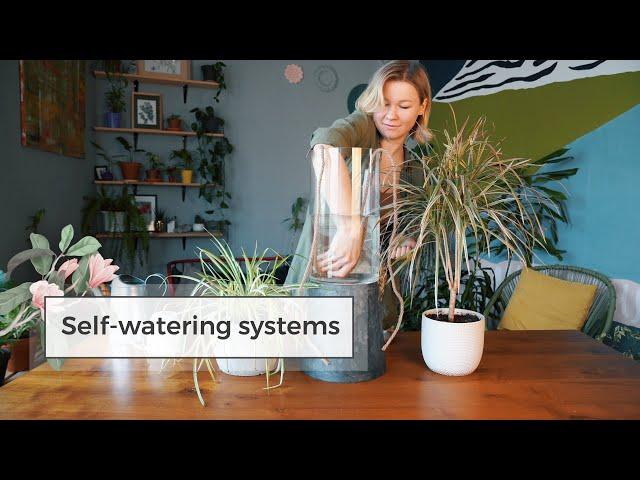 4 DIY Self-Watering Systems / Water Plants While Away!