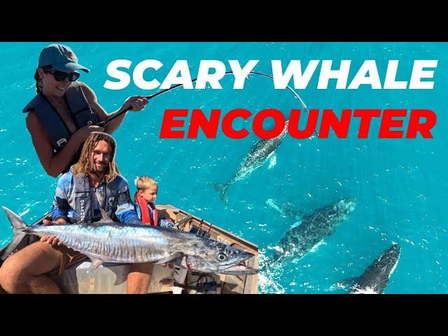 SCARY WHALE ENCOUNTER! MIDDLE LAGOON - DAMPIER PENINSULAR