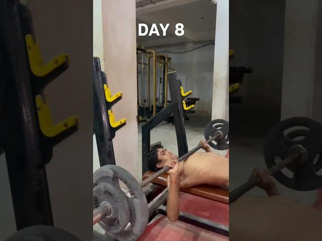 Bulk Day 8 | Chest Shoulder Triceps #fitness #workout #shortsfeed #shorts