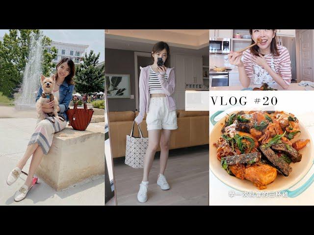 Vlog. 20  步上新生活軌道，Uniqlo 開箱，一次就上手的三杯雞 | Celine C琳