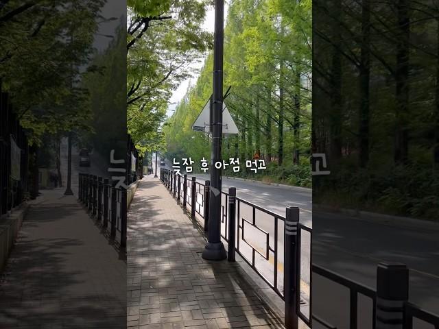 또가형 하루 (휴무일 그냥 쉬기) #영어강사 #브이로그 #강사 #직장인 #직장인유튜버 #휴일 250506