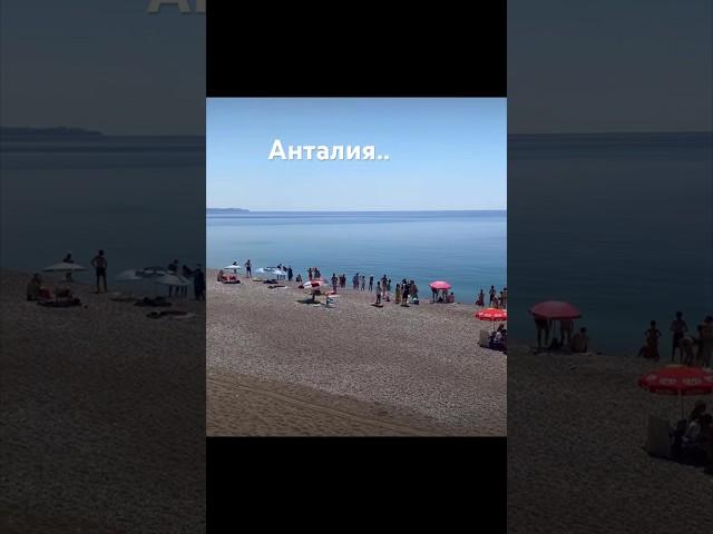 Акулы в Анталии, теперь не только Египет …