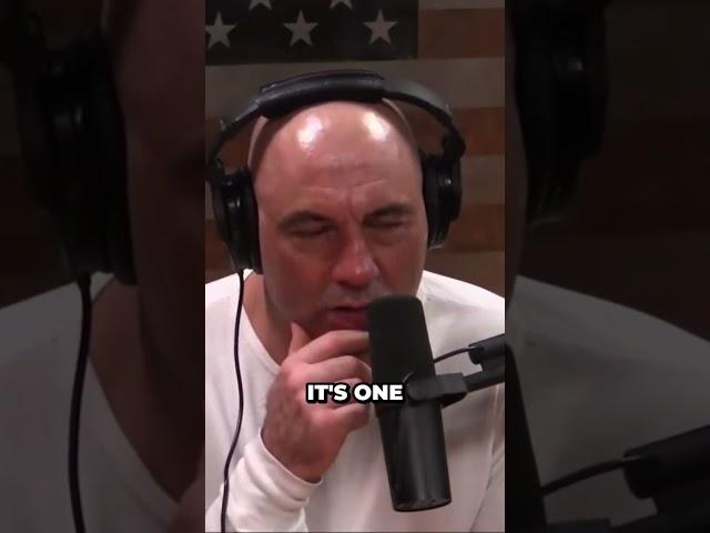 Joe rogan On bear attack  #joerogan #podcast #Bear