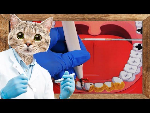 Sleepy Cat Dental Clinic (Sub )｜Handmade Pop-up book ASMR｜Roleplay