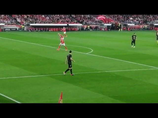 SLBenfica x CD Estrela Amadora 7-0 [Golo] 5'      Di Maria  Taça de Portugal 2024 - 25