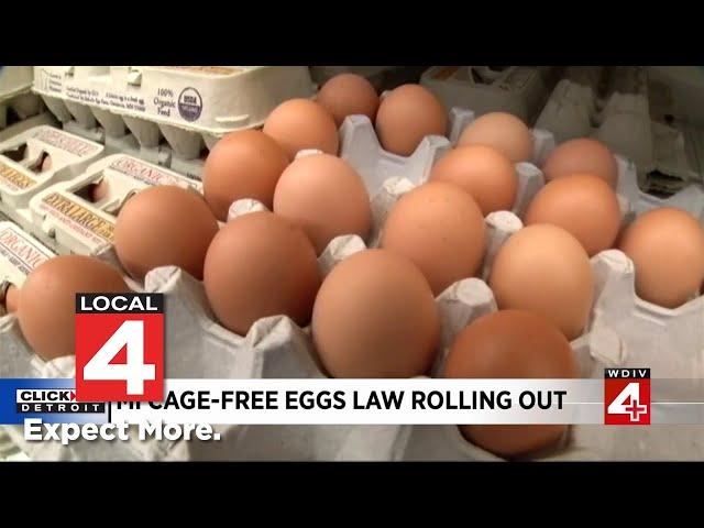 New law changing the way eggs are sold in Michigan