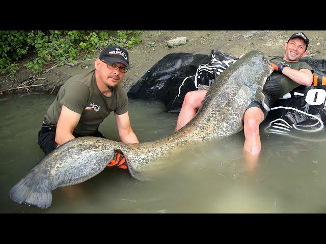 Сом ГИГАНТ! Самая большая рыба в жизни. Рыбалка на трофейного сома!