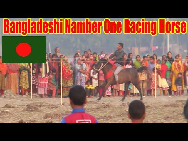 horse racing in Bangladesh || This horse of Bangladesh has never lost a game || Fishing Master BD