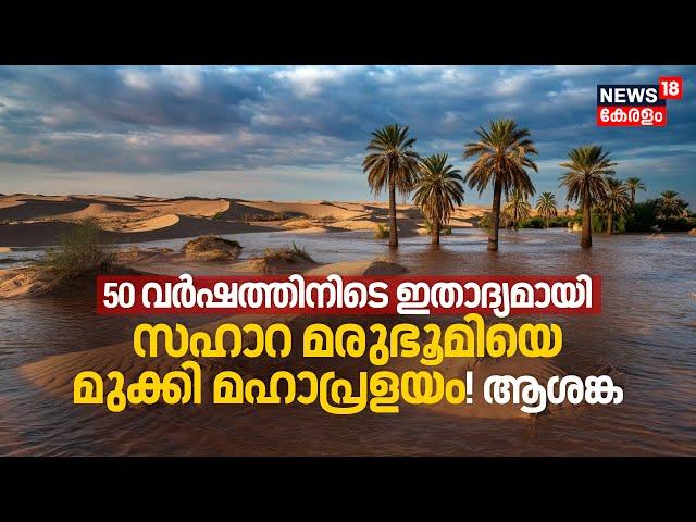 Rare Rain Floods Sahara Desert; 50 Yearsനിടെ ഇതാദ്യമായി Sahara Desertനെ മുക്കി മഹാപ്രളയം! ആശങ്ക N18G