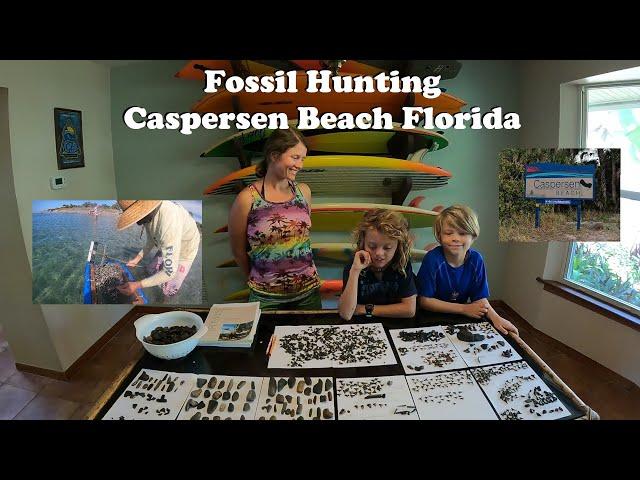 Caspersen Beach FL Fossil Hunting | Tips & Tricks + Identification Session