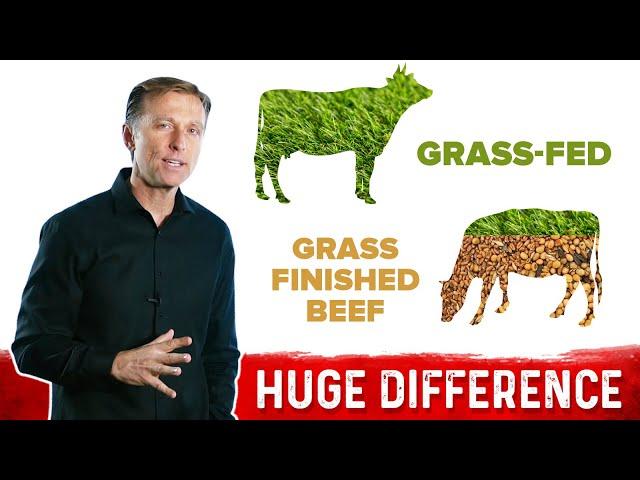 Grass-Fed vs. Grass-Finished Beef: Big Difference