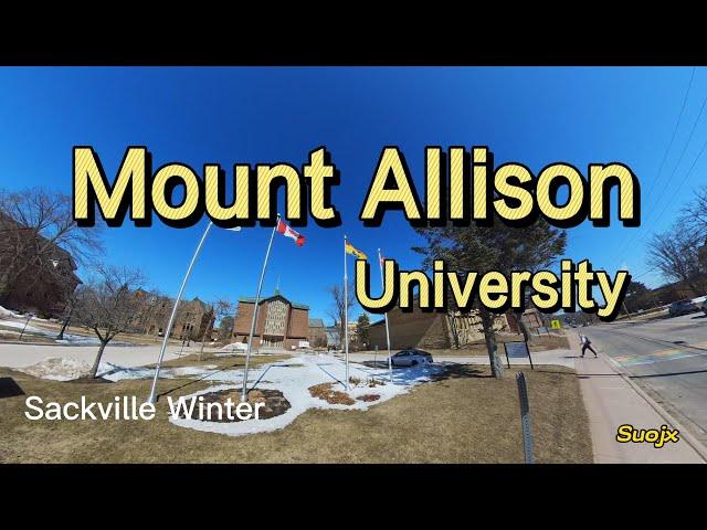 Mount Allison University