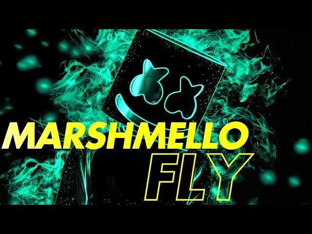 FLY - Marshmello (Visualizer)