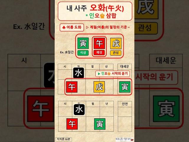 인오술 삼합 / 내사주 오화 / 여름 도화 / 계절(여름)의 절정의 기운 / 지지론 15편 / 사주명리 / 사주공부 / 사주기초 / #사주명리학강의 /  #사주명리학독학