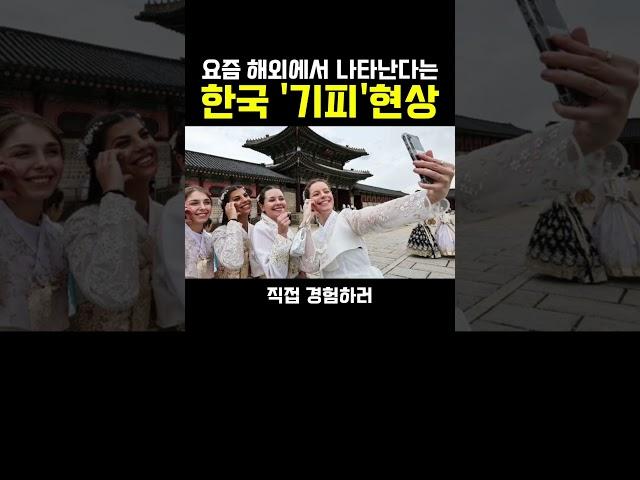 외국인들이 한국만 기피하는이유?