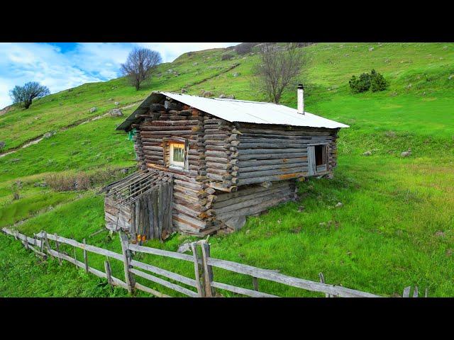 Hiding alone for 24 hours in my grandfather's 100-year-old log house in the wild forest