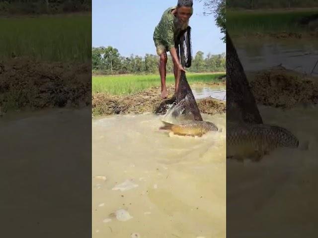 মুরু'ব্বি অ'নেক ব'ড় মাছ ধর'ল