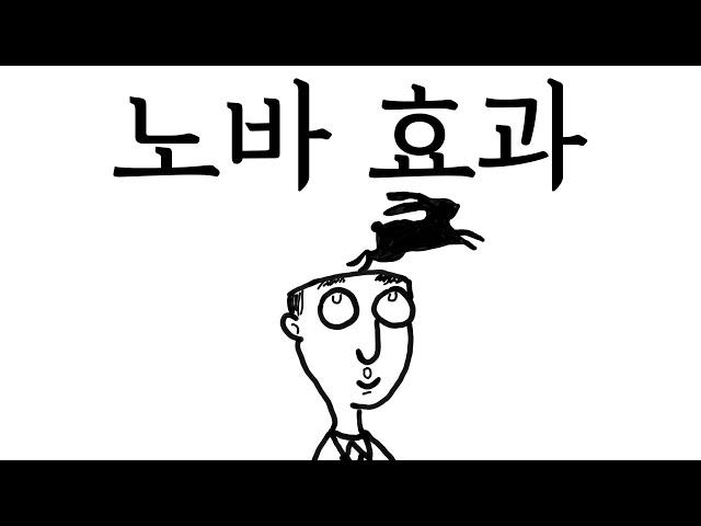 노바 효과 거대한 운의 무작위적인 본질 - 언더독