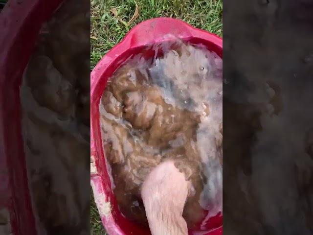 Oddly Satisfying Mud Cleaning | Revealing Hidden Treasures #oddlysatisfying #satisfying