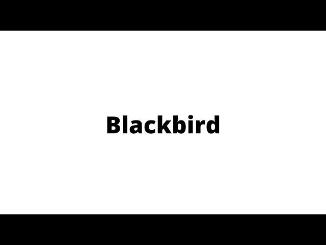 Blackbird (Cover)