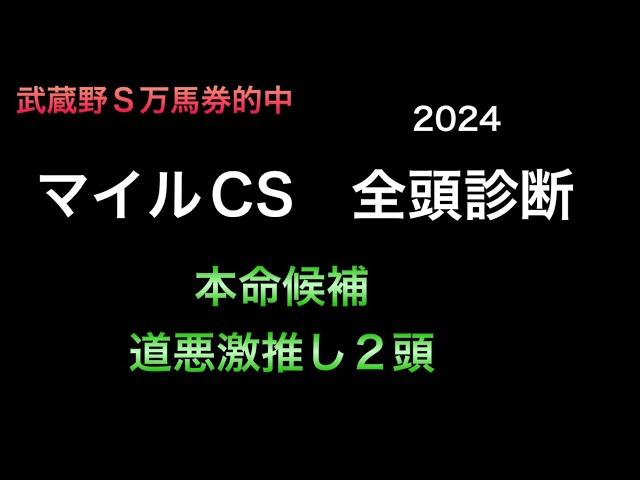 【競馬予想】　マイルチャンピオンシップ　2024  全頭診断　事前予想