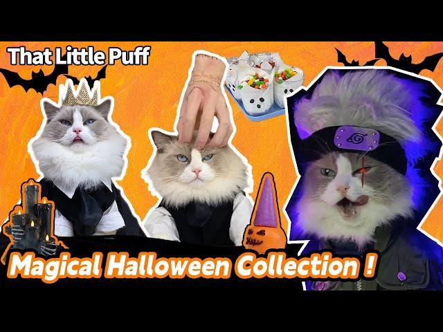 The most magical Halloween collection！| That Little Puff️