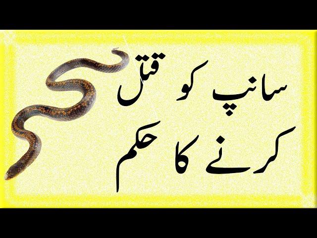 Saanp ko marna in islam By Mufti Muhammad Ahsan Alam