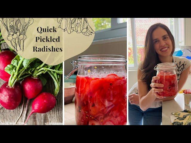 Quick Pickled Radishes 