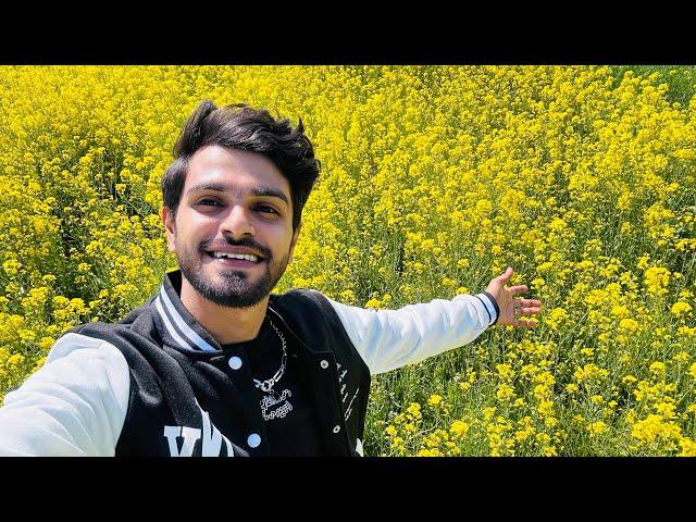 අශ්ව Ride එකක් යමුද?  INDIA VLOG 3 | Kashmir #kashmirindia #pahalgam