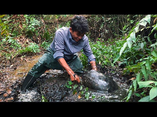 Đối Đầu Thuỷ Quái Trong Rừng Già Lê Minh Xuân | Confronting Water Monsters in the Forest