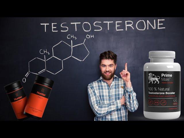 Best Testosterone Booster Supplements For Strength, Energy and Muscle Mass