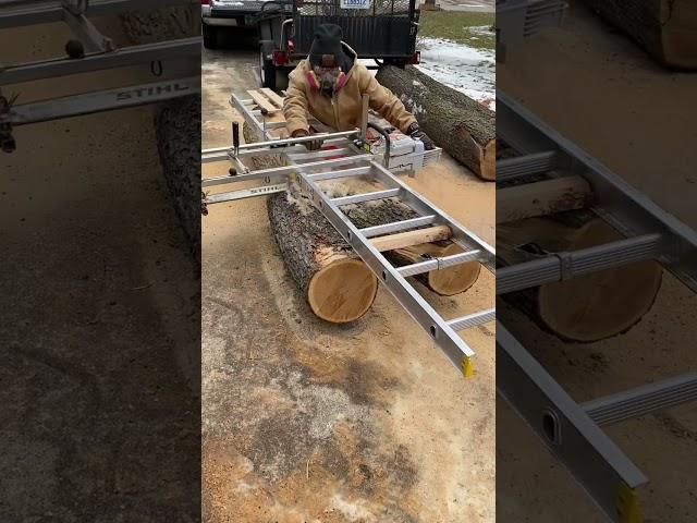 Chainsaw First Cut On Cherry Crotch Log | #chainsaw #lumber #woodworking #tools #diy #ideas