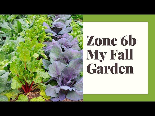 The Fall Garden Zone 6b - What I plant When - Presentation