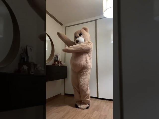 곰이 추는 곰가민가요 (Billie - GingaMingaYo (the strange world))
