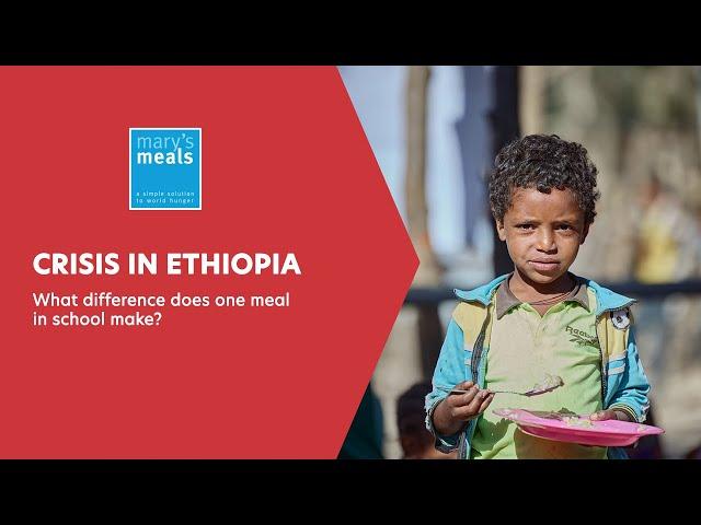 Crisis in Ethiopia | Magnus MacFarlane-Barrow Q&A | What difference does one meal in school make?