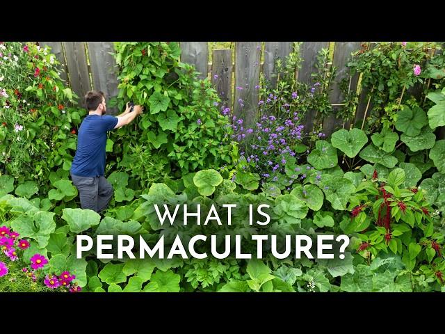 PERMACULTURE Explained in 6 Minutes