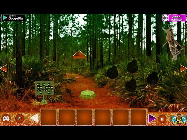 Wow Grasshopper Forest Escape Walkthrough [WowEscape]