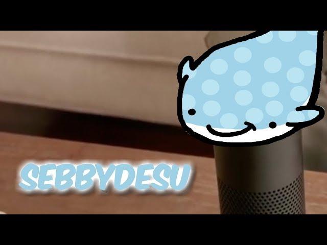 If Sebbydesu was Amazon Echo!