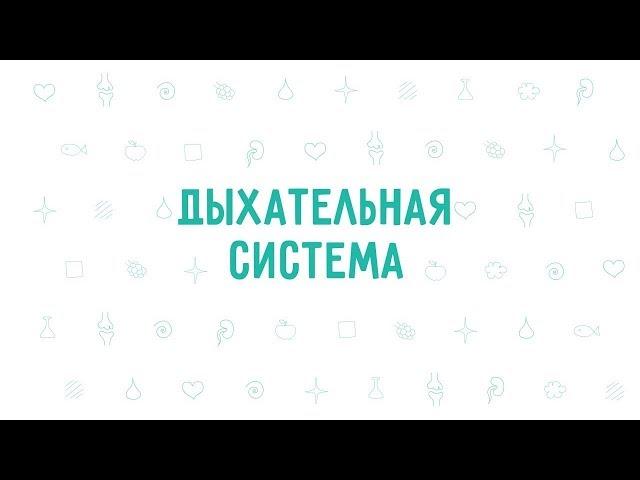 12. Дыхательная система . Окружающий мир - 3 класс