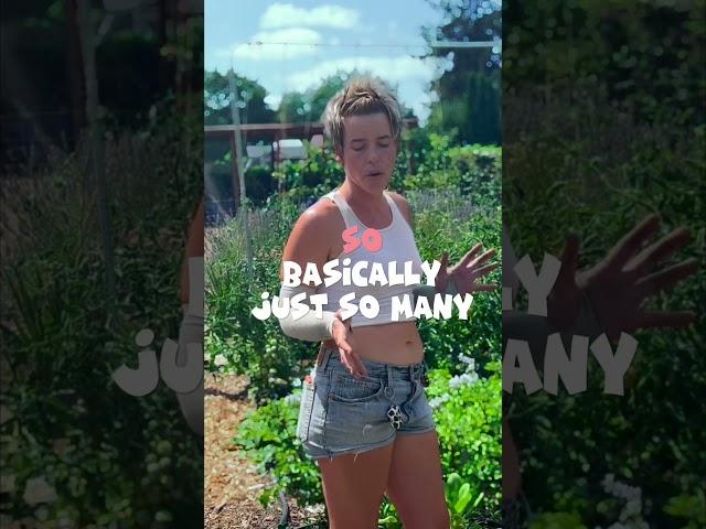 Subscribe for more  #howtogarden #farmgirl #diy #gardentips #farmtips #ipm #tutorial  #farm